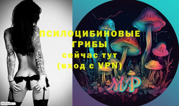 прущие крисы Арсеньев