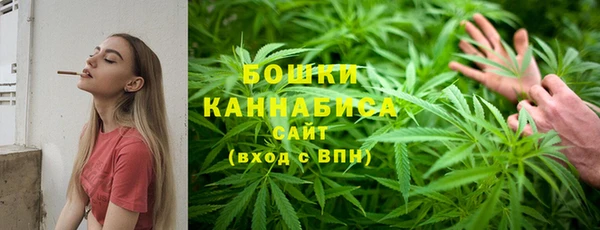 прущие крисы Арсеньев