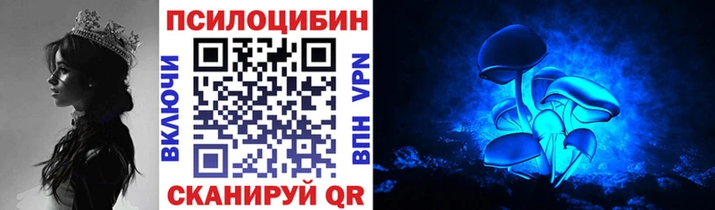 Псилоцибиновые грибы Psilocybe  площадка клад  Заволжск  где можно купить  
